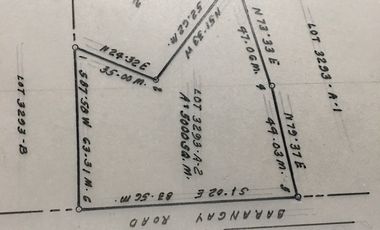 For Lease Vacant Lot in Panglao Island, Bohol