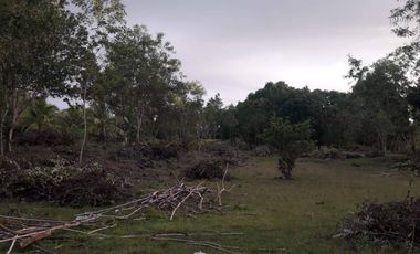 For Lease Vacant Lot in Panglao Island, Bohol