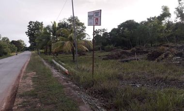 For Lease Vacant Lot in Panglao Island, Bohol