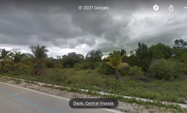 For Lease Vacant Lot in Panglao Island, Bohol