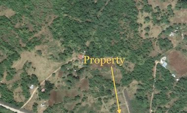 For Lease Vacant Lot in Panglao Island, Bohol