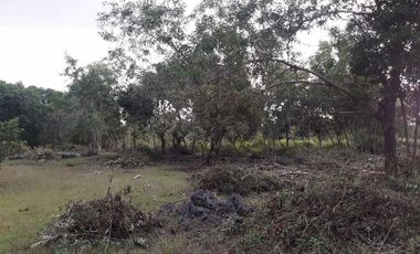 For Lease Vacant Lot in Panglao Island, Bohol