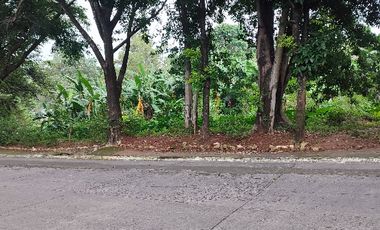 Residential Lot at Town and Country Heights Antipolo