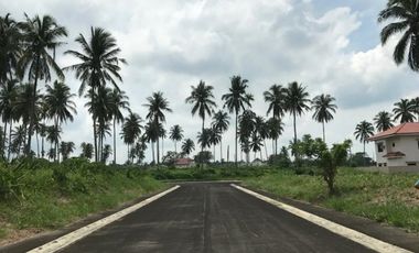 308sqm Residential lot for sale @ Montelago Nature Estates | San Pablo, Laguna