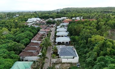 Brandnew House and Lot with Swimming Pool for SALE situated in Panglao Bohol