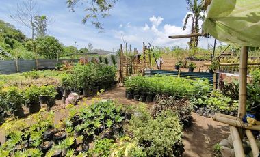 1.9 Hectares Commercial Lot for for Sale in Bacolod City, Negros Occidental