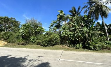 FS Riverfront Lot Ideal for Health and Wellness Projects