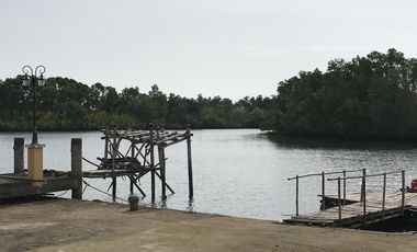 FS Riverfront Lot Ideal for Health and Wellness Projects