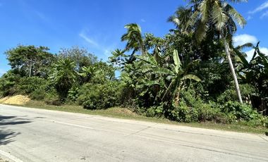 FS Riverfront Lot Ideal for Health and Wellness Projects