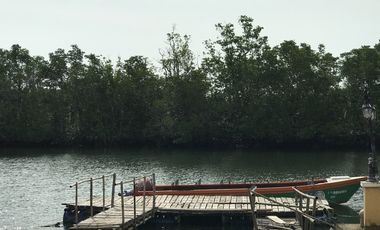 FS Riverfront Lot Ideal for Health and Wellness Projects