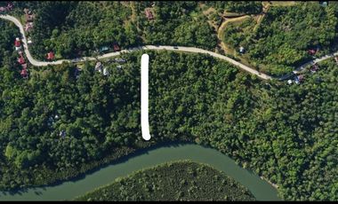 FS Riverfront Lot Ideal for Health and Wellness Projects
