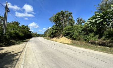 FS Riverfront Lot Ideal for Health and Wellness Projects