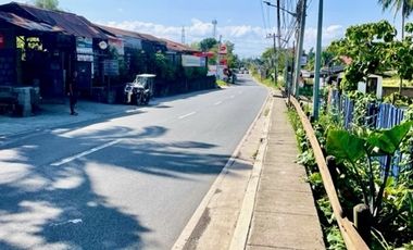Lipa-Ibaan Commercial Lot for Lease
