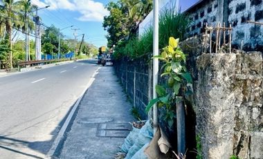 Lipa-Ibaan Commercial Lot for Lease