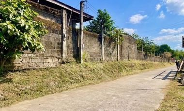 Lipa-Ibaan Commercial Lot for Lease