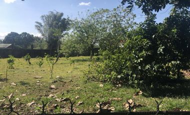 Lipa-Ibaan Commercial Lot for Lease