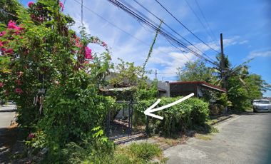 158 square meters Corner lot Multinational Village, Paranaque