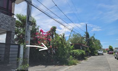 158 square meters Corner lot Multinational Village, Paranaque