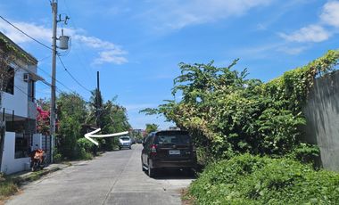 158 square meters Corner lot Multinational Village, Paranaque