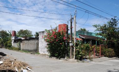 158 square meters Corner lot Multinational Village, Paranaque