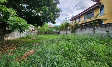 Lot For Sale at Tierra Nueva Village, Alabang, Muntinlupa City