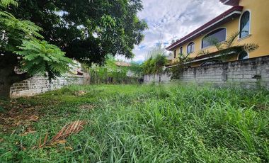 Lot For Sale at Tierra Nueva Village, Alabang, Muntinlupa City