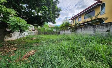 Lot For Sale at Tierra Nueva Village, Alabang, Muntinlupa City