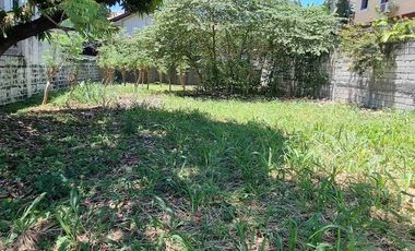 Lot For Sale at Tierra Nueva Village, Alabang, Muntinlupa City