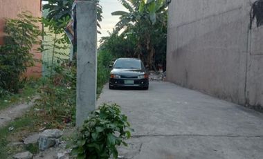 Residential Lot for Sale in Annex 40, Brgy. Don Bosco, Parañaque City