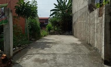 Residential Lot for Sale in Annex 40, Brgy. Don Bosco, Parañaque City