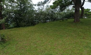 3,535 sq. meters Residential Lot for Sale in Tam-awan, Baguio City