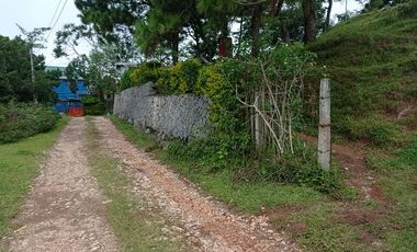 3,535 sq. meters Residential Lot for Sale in Tam-awan, Baguio City