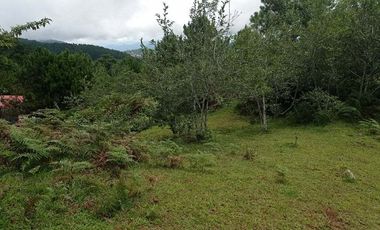 3,535 sq. meters Residential Lot for Sale in Tam-awan, Baguio City