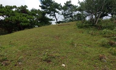 3,535 sq. meters Residential Lot for Sale in Tam-awan, Baguio City