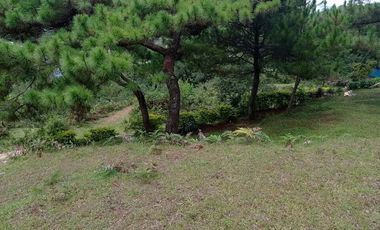 3,535 sq. meters Residential Lot for Sale in Tam-awan, Baguio City