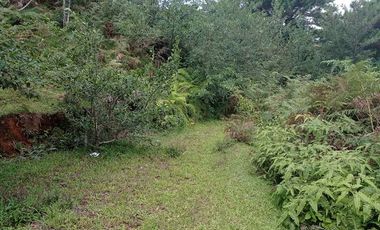 3,535 sq. meters Residential Lot for Sale in Tam-awan, Baguio City
