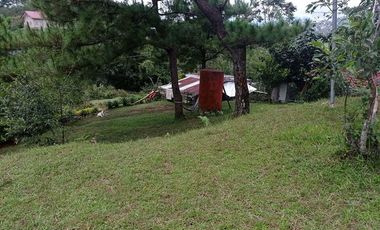 3,535 sq. meters Residential Lot for Sale in Tam-awan, Baguio City