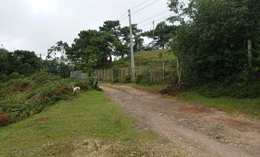 3,535 sq. meters Residential Lot for Sale in Tam-awan, Baguio City