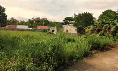 180 sqm Residential Lot for Sale in Rosario Heights Subdivision, Bacolod