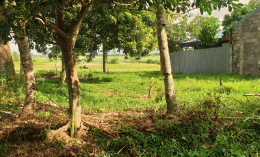 180 sqm Residential Lot for Sale in Rosario Heights Subdivision, Bacolod