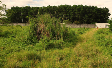 180 sqm Residential Lot for Sale in Rosario Heights Subdivision, Bacolod