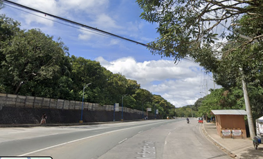 MARCOS HIGHWAY: Baras, Rizal: Commercial Lot For Sale: Lot area 24,803 sqm