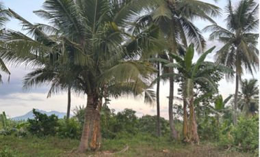 GEN. TINIO NIEVA ECIJA