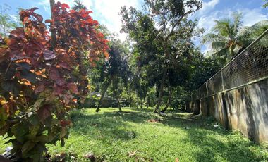 House & Lot (2,000sqm) San Pablo Laguna FOR SALE at Php16M