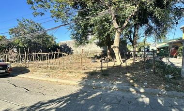 Corner lot 323sqm at Villa Benita Sub. , 5mins walk to SM Cabanatuan City