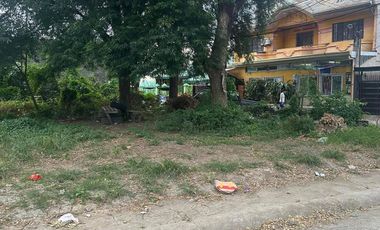 Corner lot 323sqm at Villa Benita Sub. , 5mins walk to SM Cabanatuan City