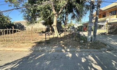 Corner lot 323sqm at Villa Benita Sub. , 5mins walk to SM Cabanatuan City