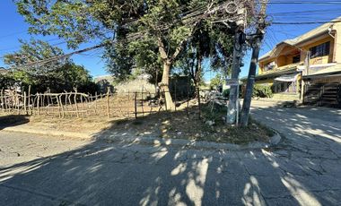 Corner lot 323sqm at Villa Benita Sub. , 5mins walk to SM Cabanatuan City