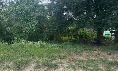 Corner lot 323sqm at Villa Benita Sub. , 5mins walk to SM Cabanatuan City