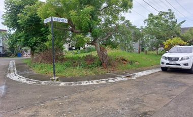 Corner Lots for Sale at Riverwalk